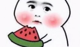 吃瓜发错给瓜主,一场意外的“吃瓜”风波