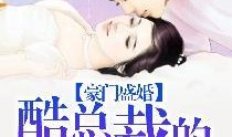 豪门吃瓜看戏小说,幕后看客的权谋风云