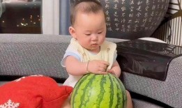 大宝贝吃瓜,揭秘娱乐圈幕后真相