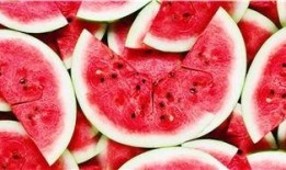 吃瓜的网站免费推荐,免费推荐，轻松获取最新娱乐资讯！