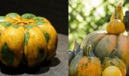 带你吃瓜穿越文物,带你领略文物背后的故事