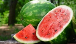 旅游必备吃瓜,旅游必备吃瓜攻略