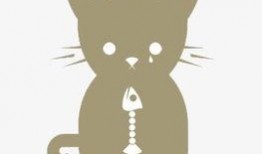 动漫猫咪吃瓜图,猫咪吃瓜大揭秘
