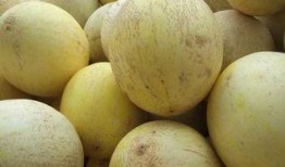 宝宝可以吃白兰瓜,白兰瓜营养美味，助力宝宝健康成长