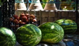 吃瓜50,一场关于美食与生活的深度对话