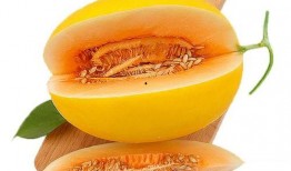 黄金蜜瓜可以吃吗怎么吃,美味食用指南与食用方法揭秘