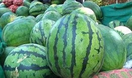 海角社区怎么吃瓜,揭秘热门吃瓜指南，轻松解锁社区热点