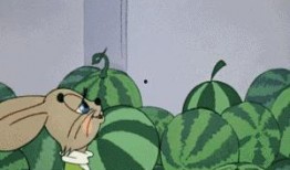 怎么挑小白瓜吃,教你如何挑选新鲜美味的小白瓜