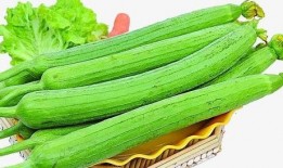 吃瓜每日视频,揭秘娱乐圈幕后故事，带你领略明星真实生活