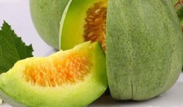 吃脆瓜有没有好处,揭秘吃脆瓜的五大好处
