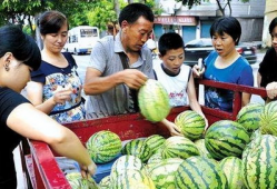 吃瓜被卖,揭秘网络时代的“瓜商”传奇