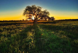 冬雨生活照吃瓜,这生活太接地气了！