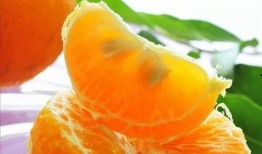 吃瓜系统朝廷吃瓜,揭秘吃瓜系统背后的宫廷秘闻