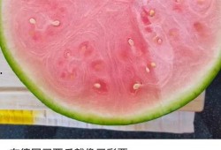 吃瓜酸了,揭秘娱乐圈背后的酸甜苦辣