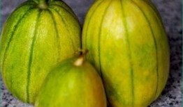 吃瓜孑会胖吗,吃瓜也能增肥？揭秘吃瓜与体重的关系