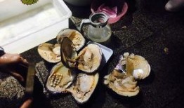 柴娘娘吃瓜,揭秘娱乐圈幕后故事