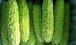 南宁各学校吃瓜