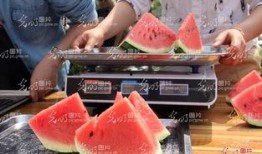 河北恶心吃瓜事件视频,视频揭露惊人真相，网友热议不断