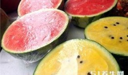 广西群众吃瓜中毒,夏日美食变惊魂记