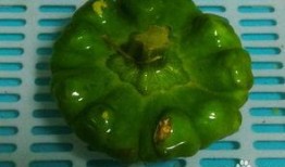 吃姜饼瓜上火,小心上火需注意