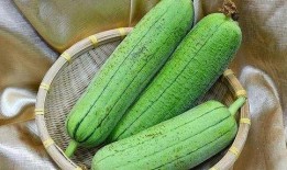 覆水瓜要怎么吃,解锁美味新体验