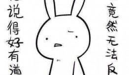 带你吃瓜奇葩兔子,带你领略“带你吃瓜奇葩兔子”的独特魅力
