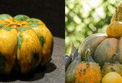 穿越吃瓜日常,一场古今笑谈的奇幻之旅