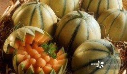 清溟吃瓜密码,探寻娱乐圈幕后真相