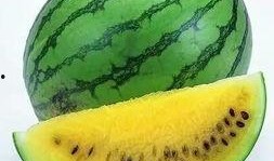 吃瓜技巧实用攻略,掌握实用攻略，轻松成为瓜界达人