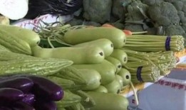 家人们吃瓜吃到自己,家人们的奇妙自嘲之旅