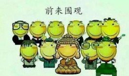 吃瓜群众1124,揭秘吃瓜群众1124背后的故事与真相