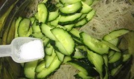 吃龙瓜什么功效,揭秘神奇功效，养生保健新选择