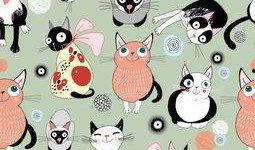 动漫猫咪吃瓜图,猫咪吃瓜大揭秘