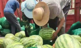 吃瓜被卖,揭秘网络时代的“瓜商”传奇