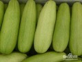 晚上吃白瓜