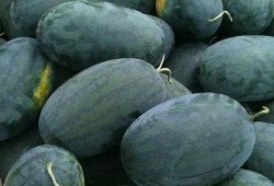 大红吃瓜,揭秘娱乐圈那些不为人知的幕后故事