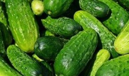 教英语吃瓜,轻松学习英语新方法