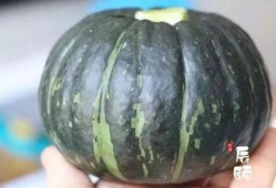 板栗贝贝瓜怎么吃,板栗贝贝瓜的多样食法探索