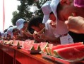 南汇吃瓜大赛,一场吃瓜大赛的欢乐盛宴