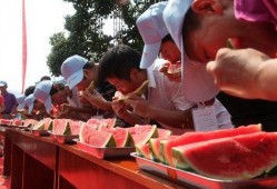 南汇吃瓜大赛,一场吃瓜大赛的欢乐盛宴