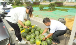 吃瓜被卖,揭秘网络时代的“瓜商”传奇