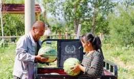 缆车阿勒泰吃瓜,夏日避暑胜地，吃瓜赏景两不误