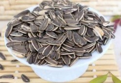 瓜芯解说吃瓜子,解锁吃瓜子的艺术与乐趣