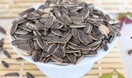 瓜芯解说吃瓜子,解锁吃瓜子的艺术与乐趣