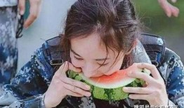 明星吃不吃瓜,揭秘明星们的“吃瓜”态度