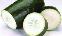 吃瓜喝开水,品味生活，喝开水谈天