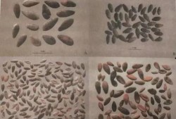 带你吃瓜穿越文物,带你领略文物背后的故事