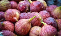 梦见吃无花果 摘瓜,无花果与瓜果的神秘邂逅