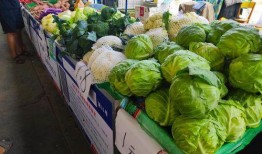 吃瓜摆烂2,揭秘娱乐圈背后的真实故事