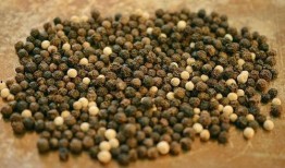 朝宋吃瓜,宫廷吃瓜，揭秘皇权背后的宫廷秘闻